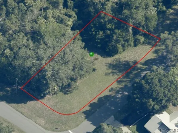 11625 W Timberlane Dr, Homosassa, FL 34448