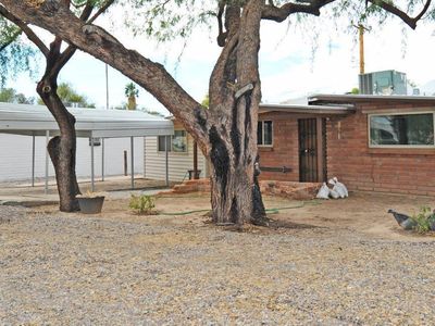 4267 N Romero Rd, Tucson, AZ, 85705