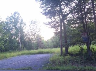 LOT 1 Turnbull Rd, Delanson, NY 12053
