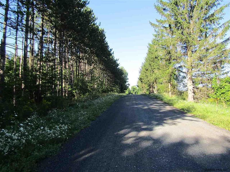 4th image of 0 ZACH HILL Road
