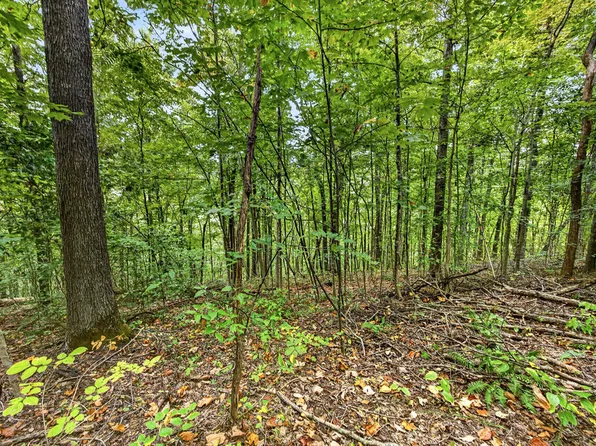 29 Timber Ridge Ln #Phase Ii, Celina, TN 38551
