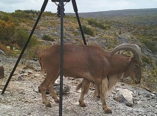 5364 Rio Diablo Pkwy #11, Del Rio, TX 78840