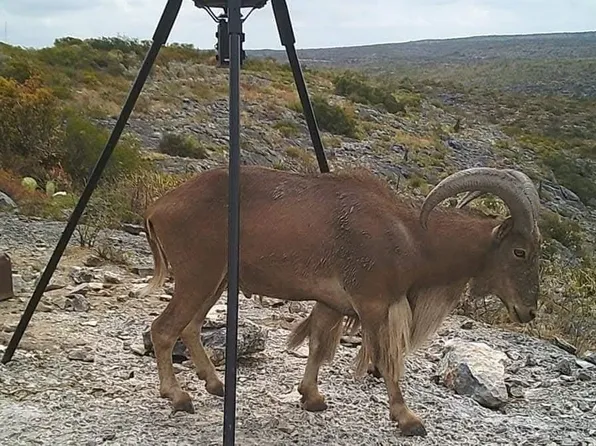 5364 Rio Diablo Pkwy #11, Del Rio, TX 78840