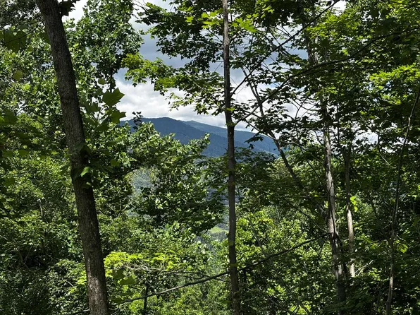 Casque Riddle Rd, Bakersville, NC 28705