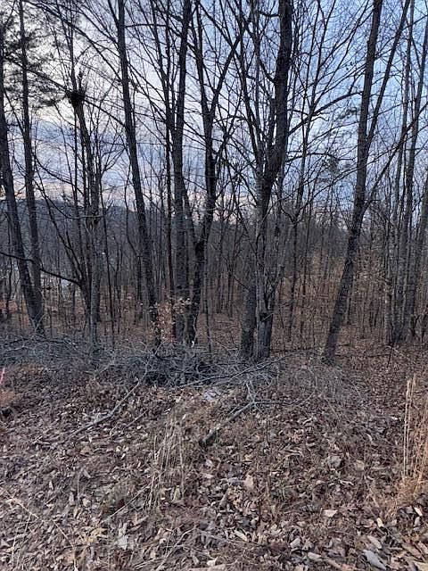 1st image of 3.31 King Mountain Rd #3.31