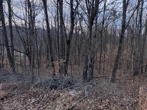 1.97 King Mountain Rd #1.97 Acre, Williamsburg, KY 40769