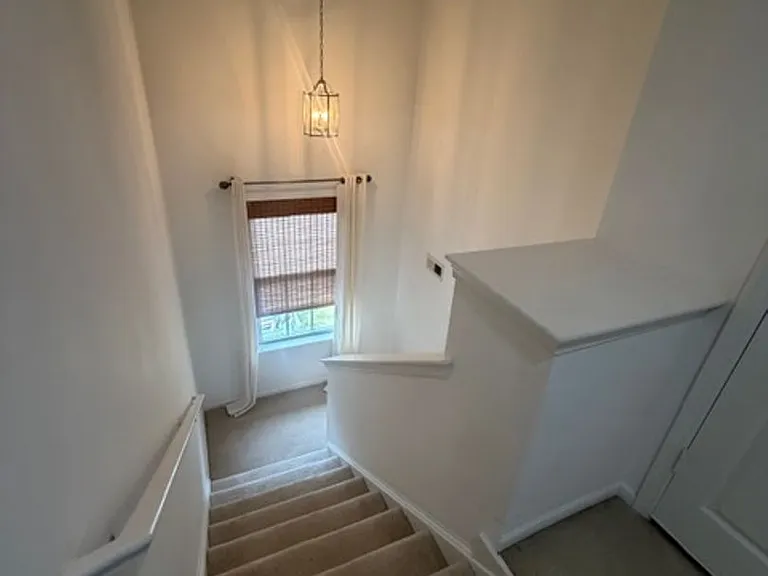 5301 Brinsley Ln — Photo 7