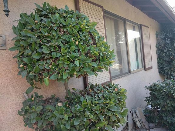 2nd image of 1084 San Bernardino Ave