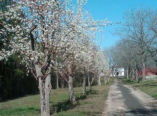 482 County Road 4380, Winnsboro, TX 75494
