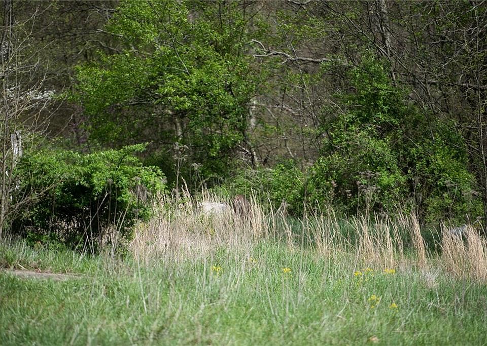 2nd image of 13400 W Highway 265