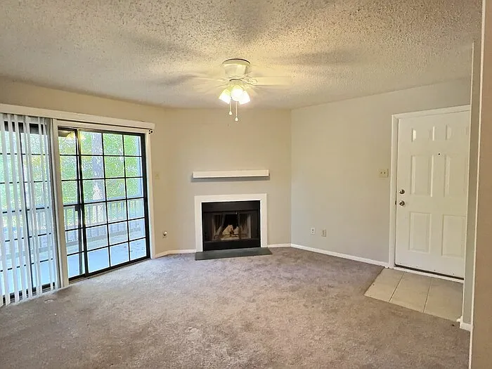 3803 Chimney Ridge Pl #3 — Photo 2