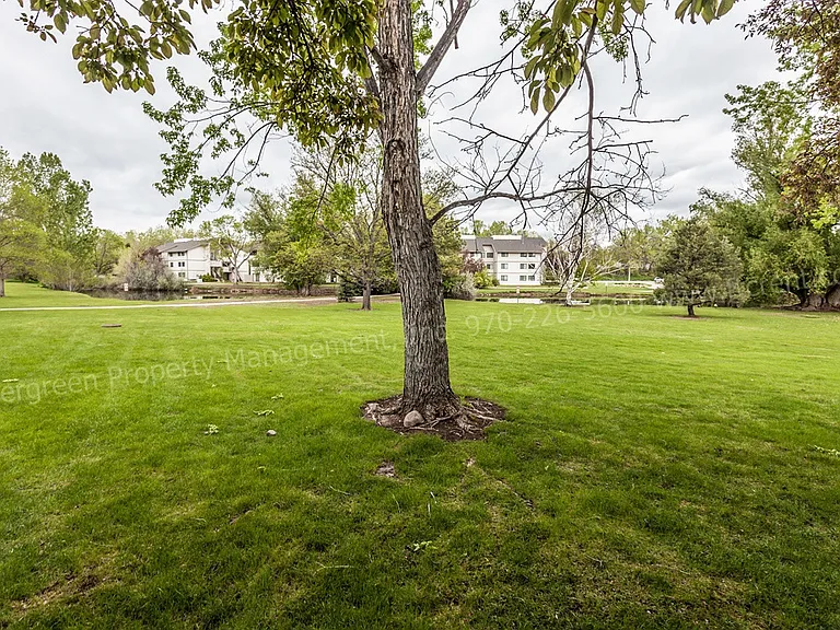 1705 Heatheridge Rd #G305 — Photo 23