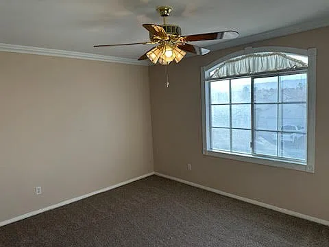 3846 Mapleview Ct — Photo 4
