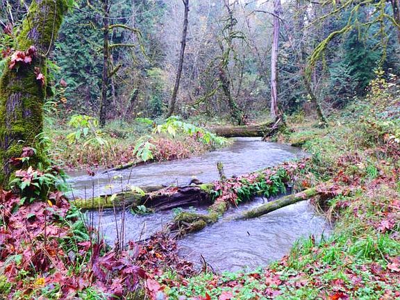 2nd image of 0 NE Lockwood Creek Rd