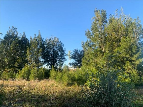 5th image of 22 Cone Dr