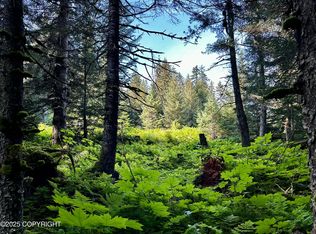 L2-B8 Nutbeem Rd, Seldovia, AK 99663