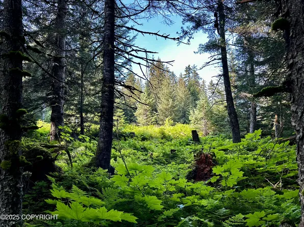L2-B8 Nutbeem Rd, Seldovia, AK 99663