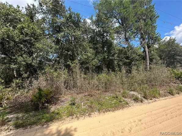 Tbd Ne 213th Ln, Fort McCoy, FL 32134