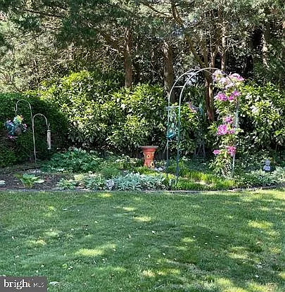 16 Colgate Dr — Photo 28