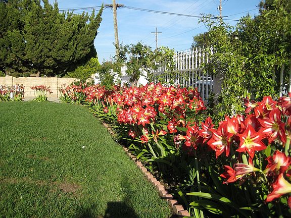 East View front yard