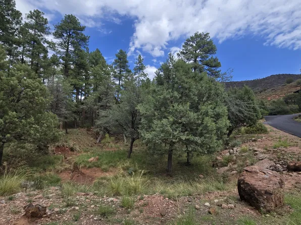 LOT 66, Pine, AZ 85544