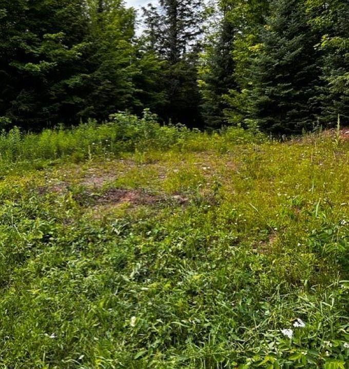 Airport Rd 10AC, Ironwood, MI 49938 Zillow