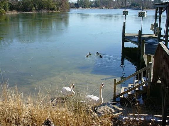 5th image of 23 Glebe Ct
