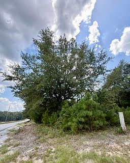 2nd image of 0 Lee Road 29