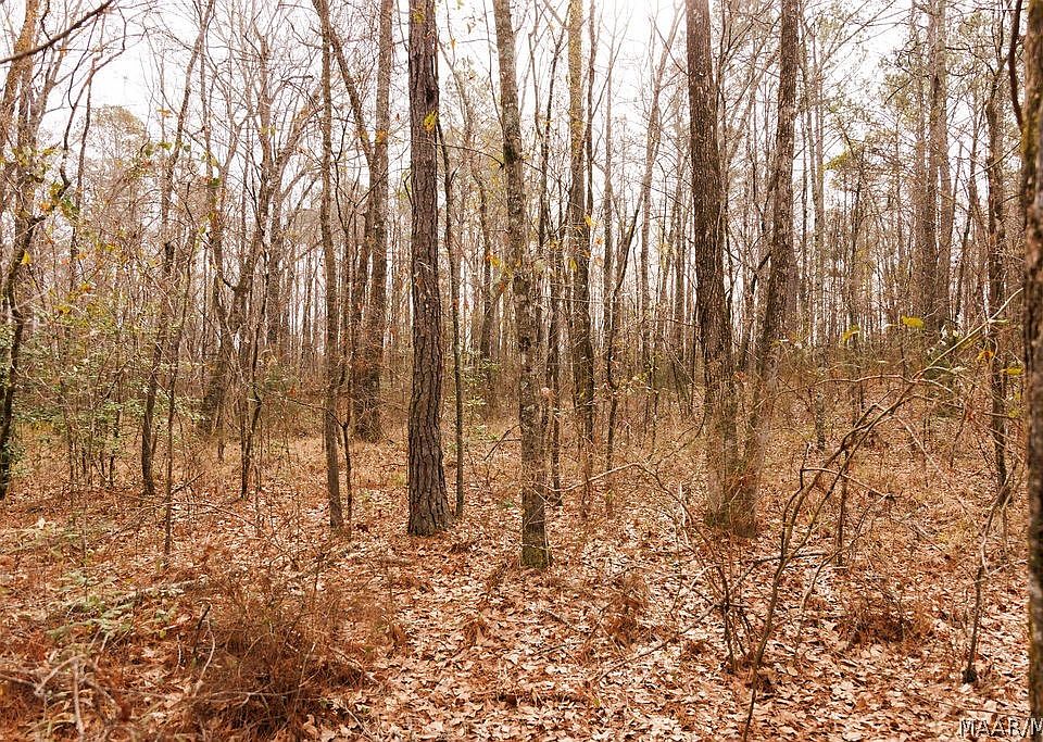 1st image of 3 Jug Factory Rd