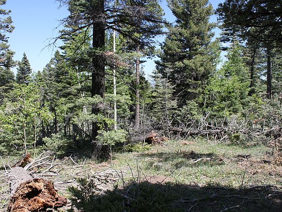 4th image of 1587 Chalice Dr