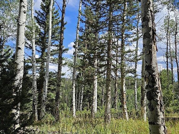 2nd image of 604 Snowshoe Lane