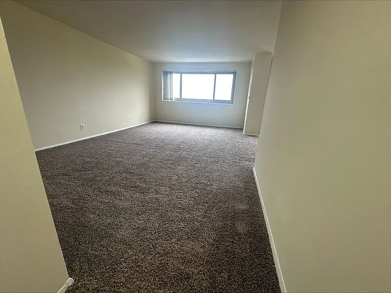 9727 Mount Pisgah Rd — Photo 168