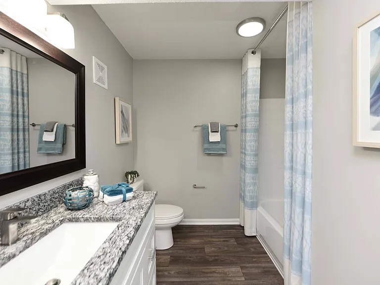 Bathroom + Granite Counters