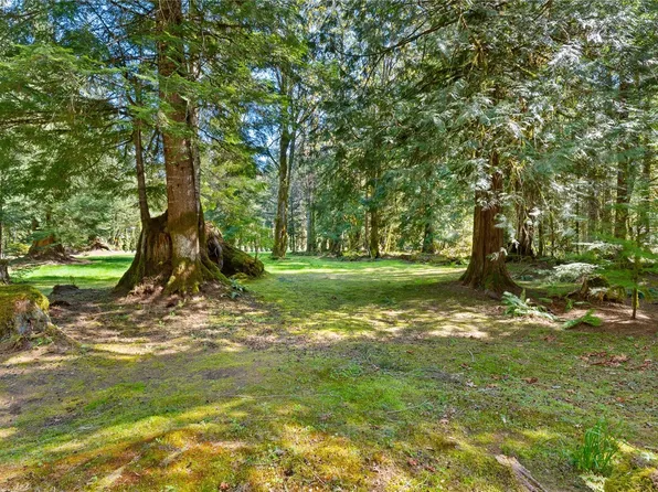 5938 Honeysuckle Lane, Marblemount, WA 98267