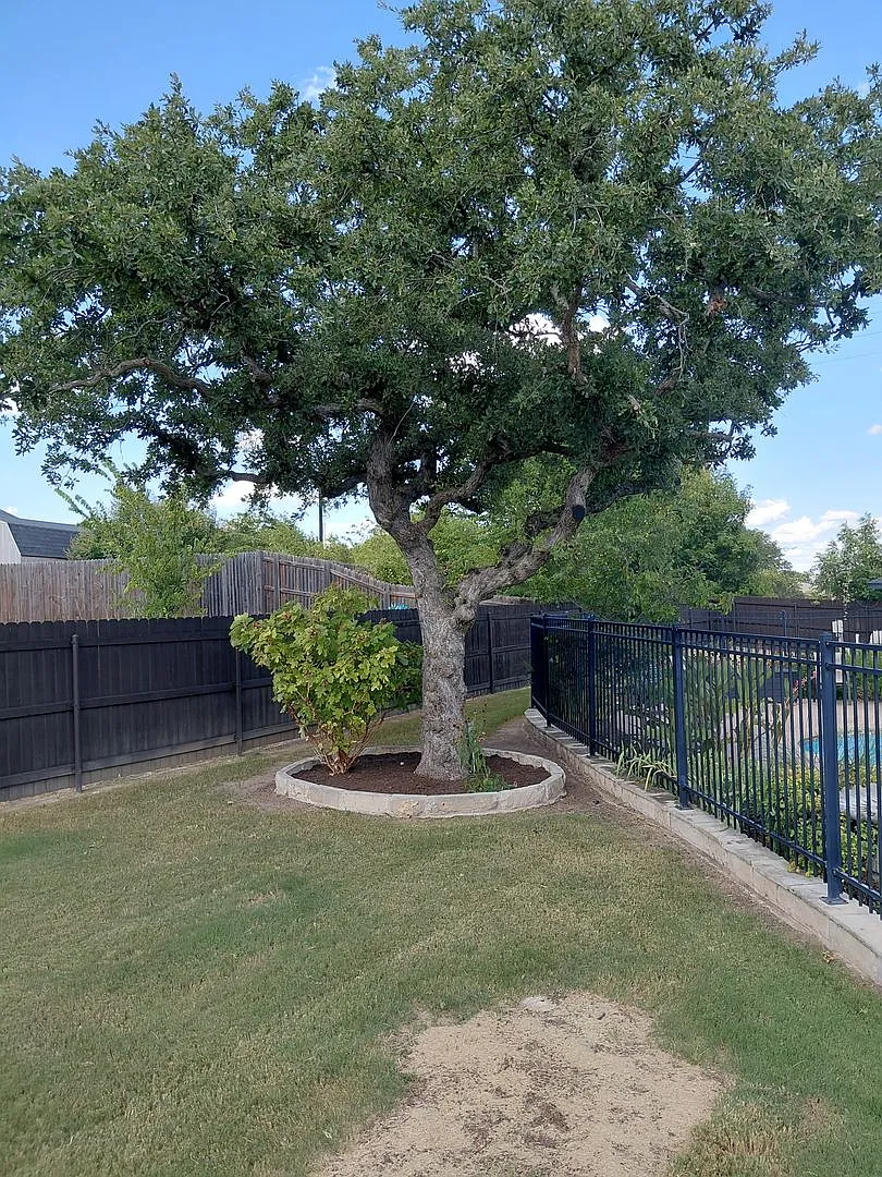 3/2/2 Lawn And Pool Care Included — Photo 3