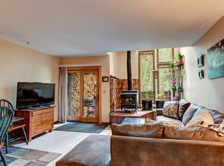 141 Alpine Dr #E, Frisco, CO 80443