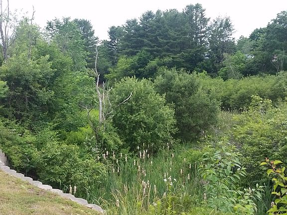 Views from 2nd floor