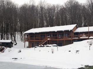 7221 Irish Hill Rd, Ellicottville, NY