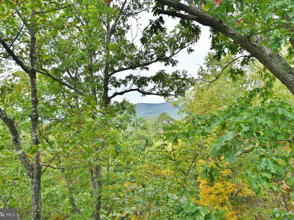 284 Pheasant Dr, Basye, VA 22810