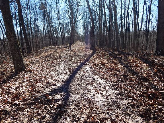 4th image of 0 King Knob Run