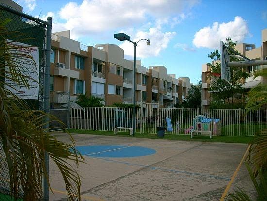 Basketball Court