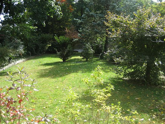 Front Yard
