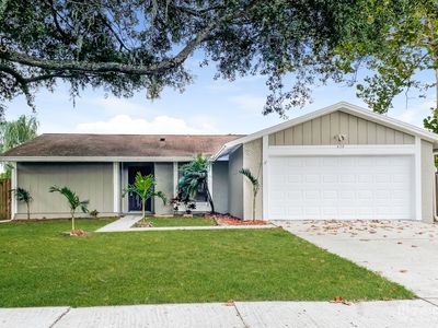 628 Bryan Terrace Dr, Brandon, FL, 33511