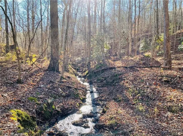 49 Old Stamp Mill Rd #49, Dahlonega, GA 30533