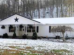 306 Cobb Hollow Rd, Red House, WV 25168