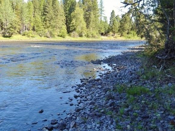 VIEW FROM OUR RIVER BANK