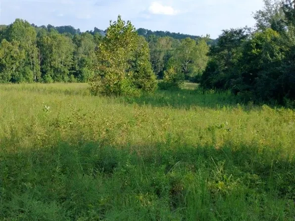 Cherry Springs Rd, Cub Run, KY 42729