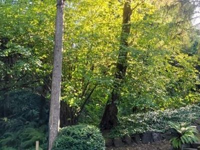 185 xx 24th Place NE, Seattle, WA, 98155