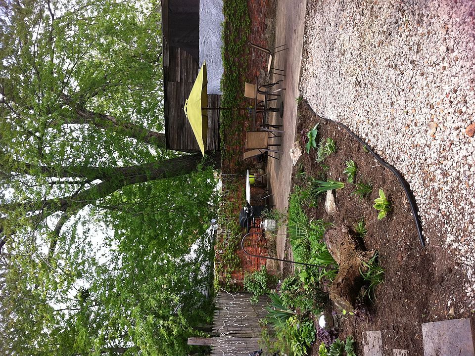 backyard 2011
