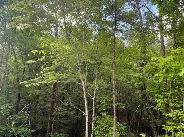 704 Timber Creek Trl, Broken Bow, OK 74728